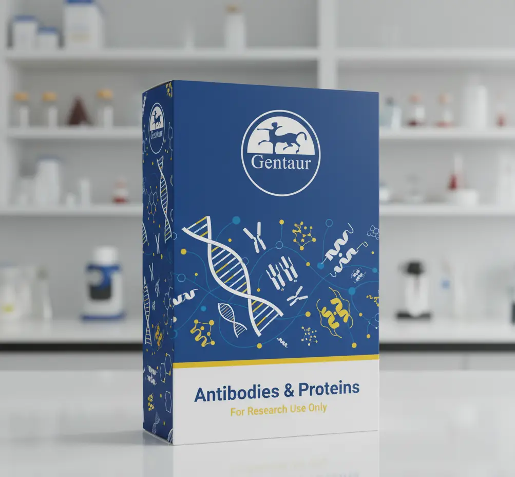 Human Testis Total Protein - 1 mg