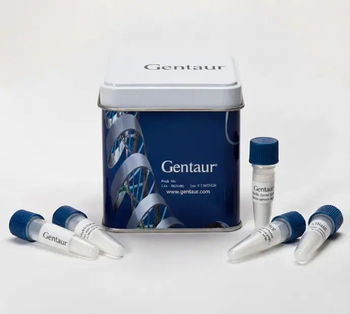 FullRanger 100bp DNA Ladder, 100 Loads